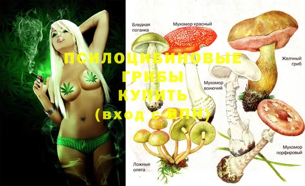 метадон Беломорск