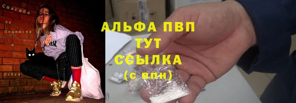 спиды Белокуриха